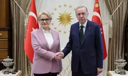 Cumhurbaşkanı Erdoğan'dan Meral Akşener için sürpriz adım