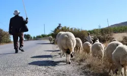 70 bin lira maaşı var ama kimse dönüp bakmıyor