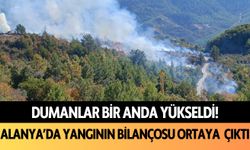 Dumanlar bir anda yükseldi! Alanya’da yangının bilançosu ortaya çıktı