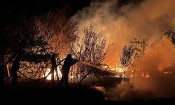 Antalya’da tarım arazisinde yangın