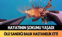 Gazipaşa'da ölü sandığı balık hastanelik etti