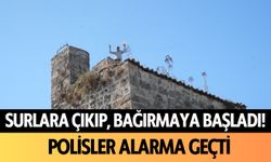 Surlara çıkıp, bağırmaya başladı! Polisler alarma geçti