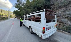 Alanya'da yetersiz sürücü belgesiyle safari yapıyordu! Asla uslanmıyorlar