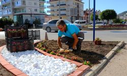 Alanya'nın her yeri çiçek açıyor