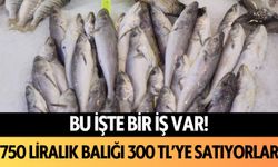 Bu işte bir iş var! Antalya'da 750 liralık balığı 300 TL'ye satıyorlar