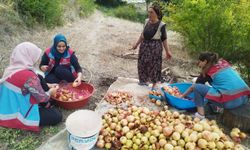 Vefa Sosyal Destek Grubu ihtiyaç sahiplerini yalnız bırakmadı