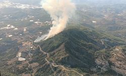 Antalya'da yangın sönmek bilmiyor