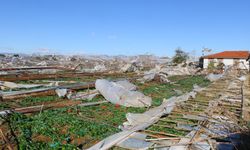 Hortumun verdiği Antalya'da gün doğunca gözler önüne serildi