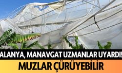 Alanya, Manavgat uzmanlar uyardı... Muzlar çürüyebilir!