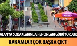 Alanya'da sokaklarda hep onları görüyorduk! Rakamlar çok başka çıktı