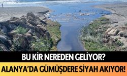 Bu kir nereden geliyor? Alanya'da Gümüşdere siyah akıyor!