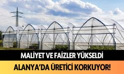 Alanya'da üretici korkuyor