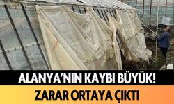 Alanya'nın kaybı büyük! Zarar ortaya çıktı