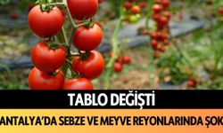 Tablo değişti: Antalya'da sebze ve meyve reyonlarında şok