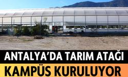 Antalya'da tarım atağı: Kampüs kuruluyor