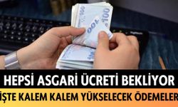 Hepsi asgari ücreti bekliyor: İşte kalem kalem yükselecek ödemeler