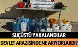 Suçüstü yakalandılar! Alanya'da devlet arazisinde ne arıyorlardı?