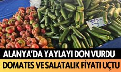 Alanya'da yaylayı don vurdu! Domates ve salatalık fiyatı uçtu