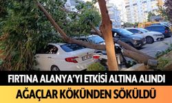 Fırtına Alanya'yı etkisi altına aldı: Ağaçlar kökünden söküldü