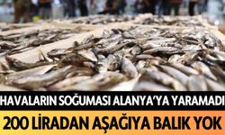 Havaların soğuması Alanya'ya yaramadı: 200 liradan aşağıya balık yok!