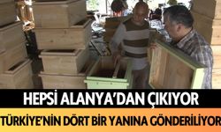 Hepsi Alanya'dan çıkıyor: Türkiye'nin dört bir yanına gönderiliyor