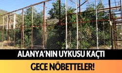 Alanya’nın uykusu kaçtı: Gece nöbetteler