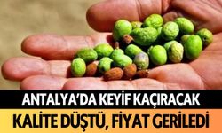 Antalya'da keyif kaçıracak: Kalite düştü, fiyat geriledi!