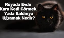 Rüyada Evde Kara Kedi Görmek Yada Saldırıya Uğramak Nedir?