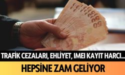 Trafik cezaları, ehliyet, pasaport, IMEI kayıt harcı... Hepsine zam geliyor