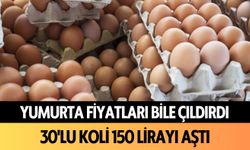 Yumurta fiyatları bile çıldırdı: Alanya'da 30'lu koli 150 lirayı aştı