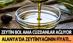 Zeytin bol ama cüzdanlar ağlıyor! Alanya'da zeytinyağının fiyatı...