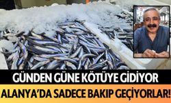 Günden güne kötüye gidiyor: Alanya'da sadece bakıp geçiyorlar!