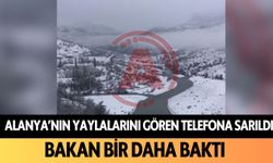 Alanya'nın yaylalarını gören telefona sarıldı: Bakan bir daha baktı