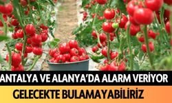 Antalya ve Alanya'da alarm veriyor: Gelecekte bulamayabiliriz