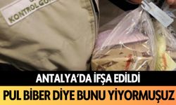 İfşa edildi! Antalya pul biber diye bunu yiyormuş...