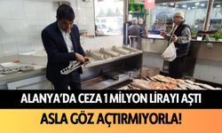 Alanya’da ceza 1 milyon lirayı aştı! Asla göz açtırmıyorlar