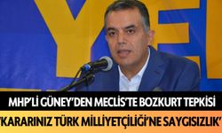 MHP’li Güney’den mecliste bozkurt tepkisi: 'Kararınız Türk Milliyetçiliği'ne saygısızlık'