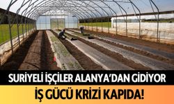 Suriyeli işçiler Alanya'dan gidiyor! İş gücü krizi kapıda