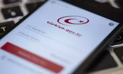 E-Devlet çöktü mü? Erişim sorunu