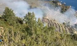 Antalya'da muz bahçesinde yangın paniği: Ekiplerden dev müdahale