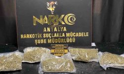 Antalya'da narkotik operasyonu: 12 kişi cezaevinde