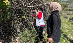 Antalya'da dağların nimeti, para kazandırıyor