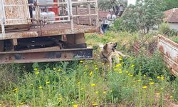 Antalya'da ihmal edilmişti... Bulunduğu yerden alındı