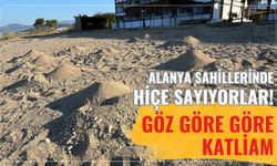Alanya sahillerinde hiçe sayıyorlar! Göz göre göre katliam