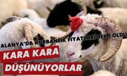 Alanya'da kurbanlık fiyatları belli oldu: Kara kara düşünüyorlar