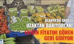 Alanya'da sadece uzaktan bakıyorlar! Eriğin fiyatını gören geri gidiyor