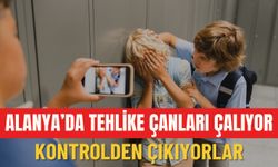 Alanya'da tehlike çanları çalıyor: Kontrolden çıkıyorlar!