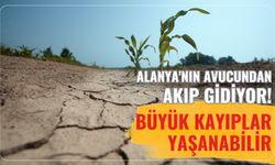 Alanya'nın avucundan akıp gidiyor! Büyük kayıplar yaşanabilir