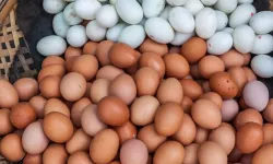 Raflarda artık göremeyeceksiniz: O yumurtalar kaldırılıyor
