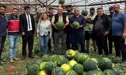 Antalya'da karpuzda rekor bekleniyor!